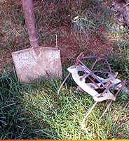 shovel and mole trap